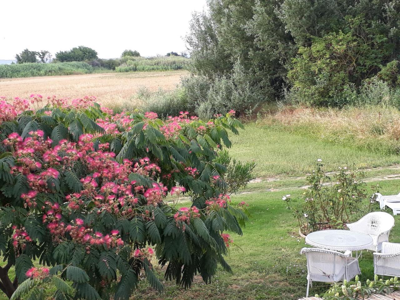 Aux Roses De L'Etang Hotel Capestang Exterior photo