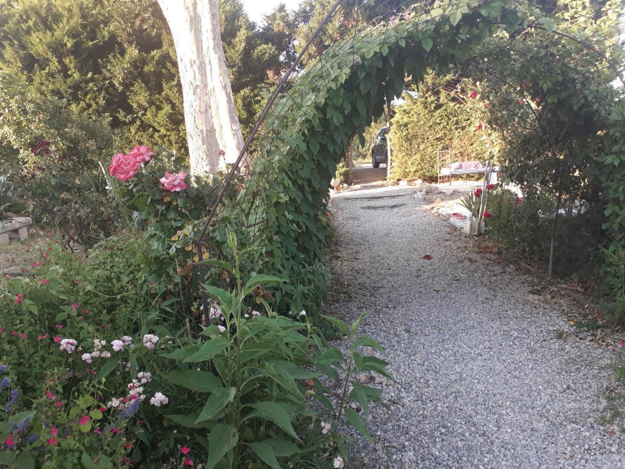 Aux Roses De L'Etang Hotel Capestang Exterior photo