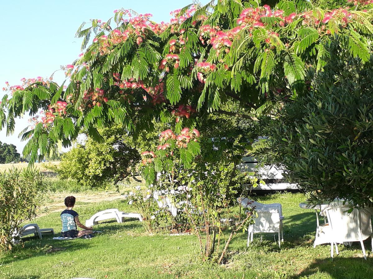 Aux Roses De L'Etang Hotel Capestang Exterior photo