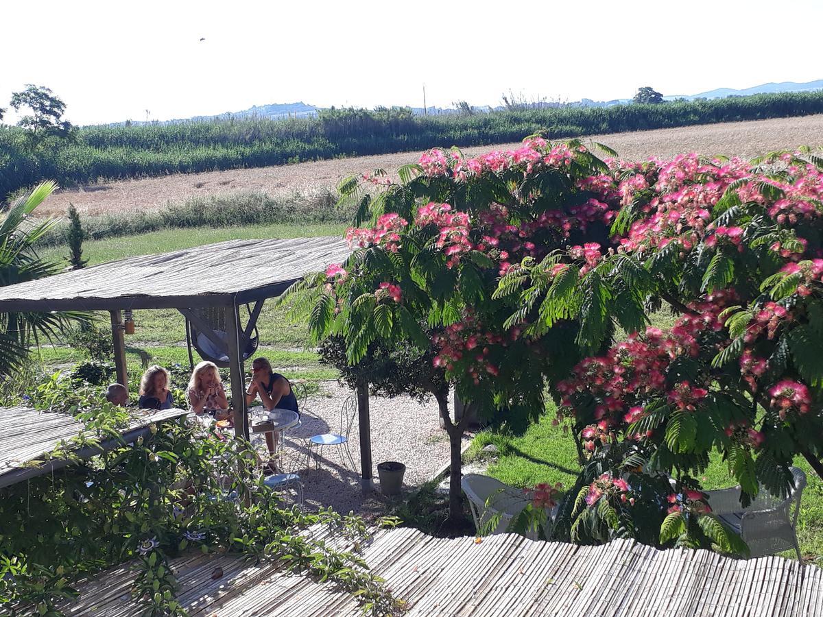 Aux Roses De L'Etang Hotel Capestang Exterior photo